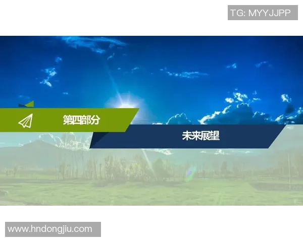 俄罗斯与智利足球队的历史交锋与未来展望分析
